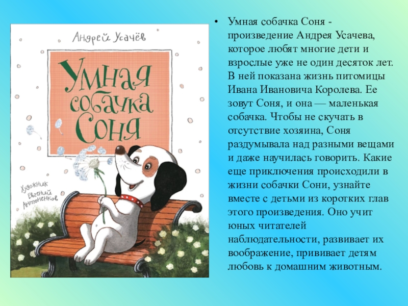 Умная собачка соня книга читать с картинками