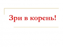 Зри в корень!