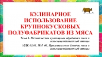 КУЛИНАРНОЕ ИСПОЛЬЗОВАНИЕ КРУПНОКУСКОВЫХ ПОЛУФАБРИКАТОВ ИЗ МЯСА