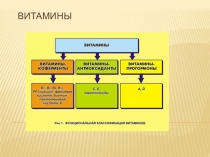 Витамины