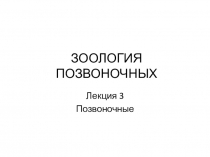 ЗООЛОГИЯ ПОЗВОНОЧНЫХ