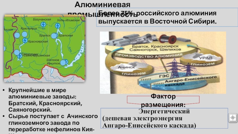 Реферат: Технологии в овцеводстве Восточной Сибири