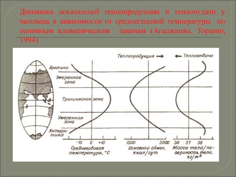 Баланс теплопродукции и теплоотдачи. Приспособление человека к окружающей среде. динамические показатели человека. зависимость теплопродукции от смещения. в условиях умеренного климата теплоотдачи человека.