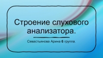 Строение слухового анализатора