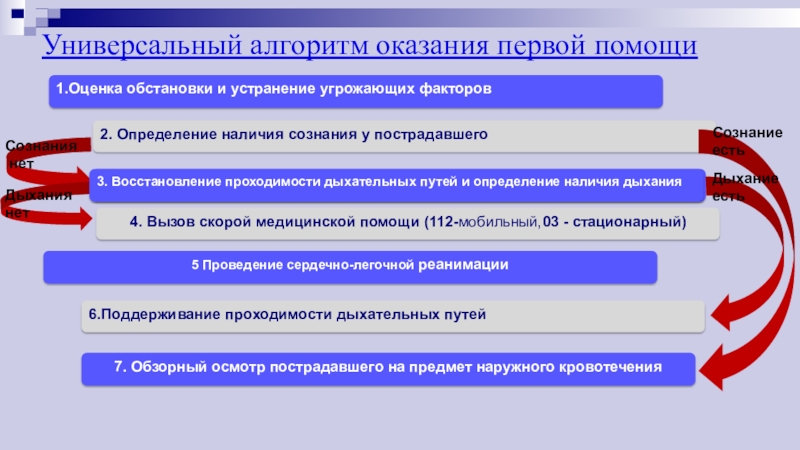 Первым в алгоритме первой помощи. Алгоритм оказания первой помощи. Первая помощь алгоритм оказания первой помощи. Универсальный алгоритм оказания первой. Универсальная схема оказания первой помощи.