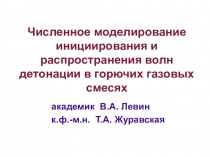 Численное моделирование инициирования и распространения волн детонации в
