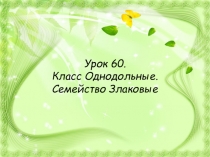 Урок 60. Класс Однодольные. Семейство Злаковые