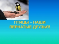 Птицы – наши пернатые друзья !