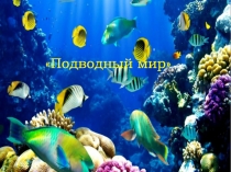 Подводный мир