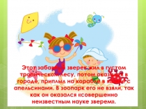 Этот забавный зверек жил в густом тропическом лесу, потом оказался в городе,