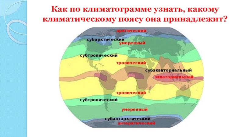 Презентация пояса земли 7 класс презентация