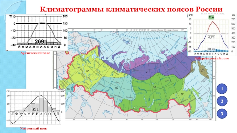 Диаграмма умеренного пояса