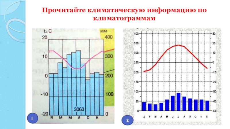 Климатограмма 2. Климатограммы климатических поясов 3120. Прочитайте климатическую информацию по климатограмме. Климатограмма Афин. Климатограмма Японии.