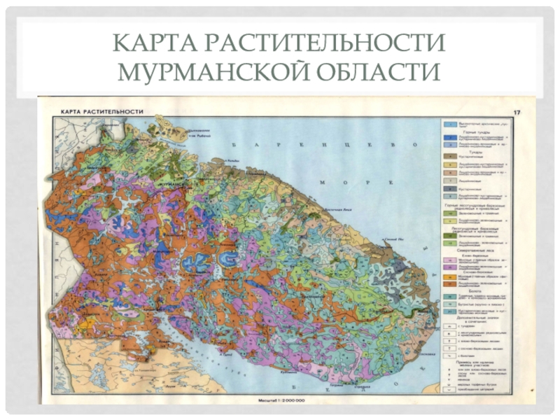 Карта животных мурманской области