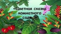 Цветная сказка комнатного сада…