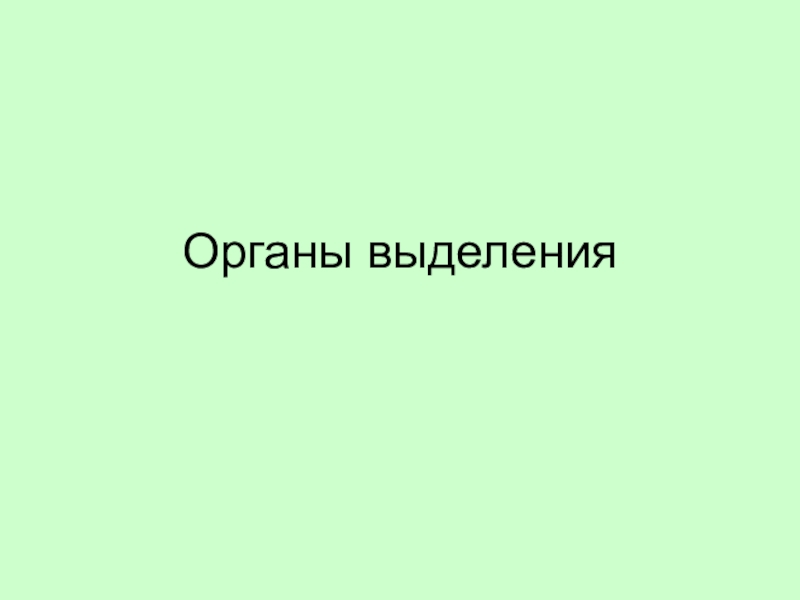 Органы выделения