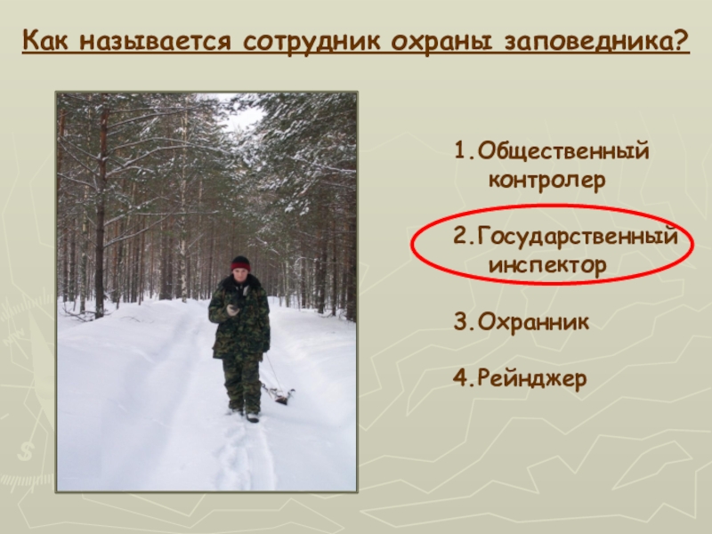 Как называется работник. Как называют работников заповедника. Как называются сотрудники заповедника. Кто работает в заповедниках профессии. Профессии людей в заповеднике.