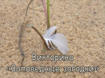 Викторина
Заповедные загадки
