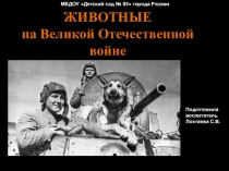 ЖИВОТНЫЕ на Великой Отечественной войне
