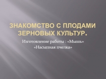 Знакомство с плодами зерновых культур