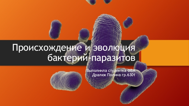Презентация Происхождение и эволюция бактерий-паразитов
