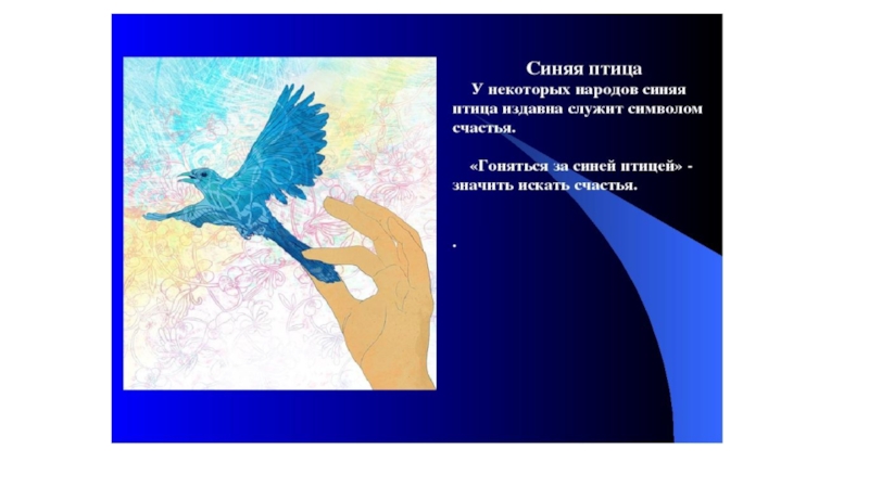 Презентация птица счастья. Синяя птица фразеологизм. Синяя птица презентация. Синяя птица символ счастья. Синяя птица символ чего.