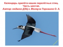 Календарь прилёта наших перелётных птиц.
Часть шестая.
Автор: педагог ДЭЦ г