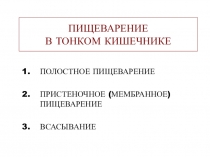 ПИЩЕВАРЕНИЕ В ТОНКОМ КИШЕЧНИКЕ