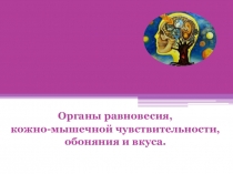Органы равновесия,
кожно-мышечной чувствительности, обоняния и вкуса