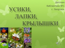 УСИКИ, ЛАПКИ, КРЫЛЫШКИ