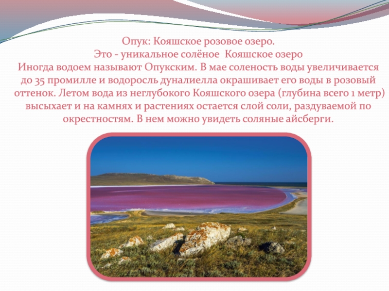 Опукский заповедник где находится. Кояшское озеро в Крыму мыс Опук. Опукский заповедник розовое озеро. Розовое озеро в заповеднике Опук. Опукский заповедник Крым розовое озеро.