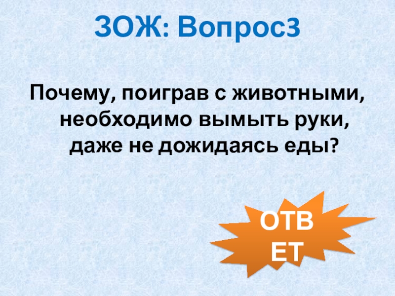 Вопросы по здоровому образу жизни. Почему вопросы здорового образа жизни волновали общество с древности. Ученые установили ЗОЖ вопросы и ответы.