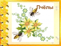 Пчёлы