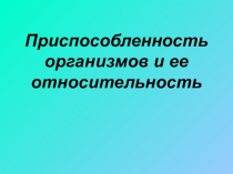 Приспособленность организмов и ее относительность