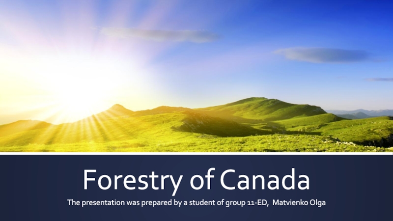 Презентация Forestry of Canada