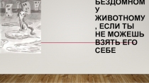 Спаси котика! Как помочь бездомному животному, если ты не можешь взять его себе