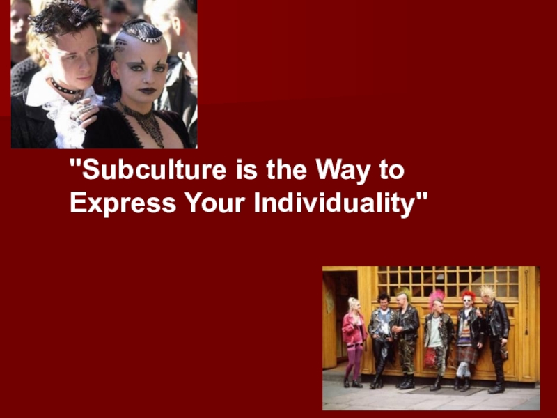 Презентация Subculture is the Way to Express Your Individuality 