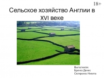 Сельское хозяйство Англии в XVI веке