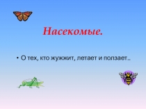 Насекомые.
О тех, кто жужжит, летает и ползает