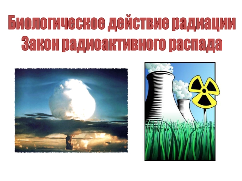 Биологическое действие радиации
Закон радиоактивного распада