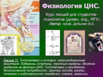 Физиология ЦНС.
Курс лекций для студентов -
психологов (дневн. отд., МГУ )