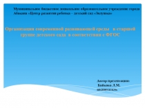Организация современной развивающей среды в старшей группе детского сада в