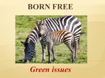 BORN FREE