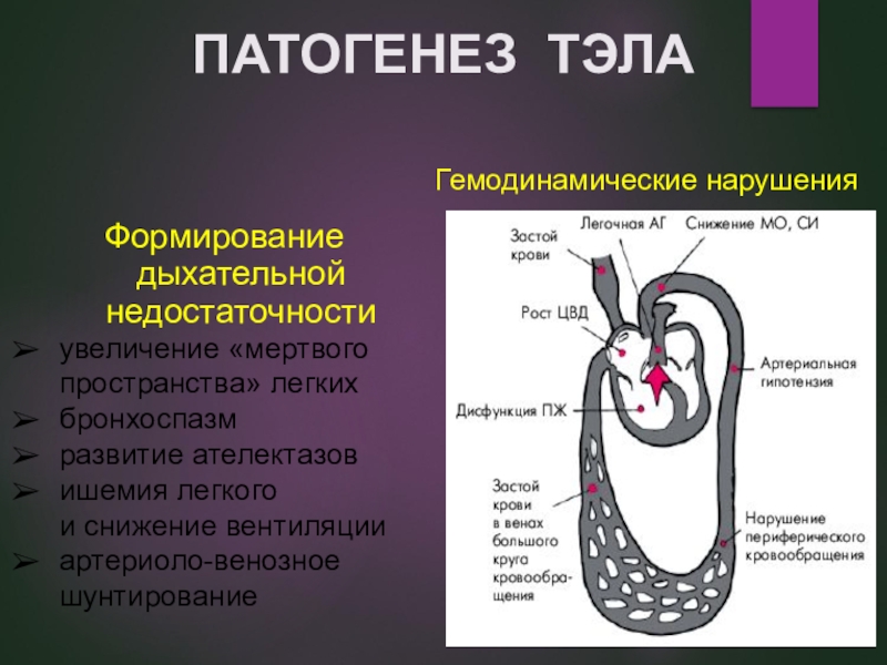 Тромбоэмболия легочной артерии презентация патофизиология