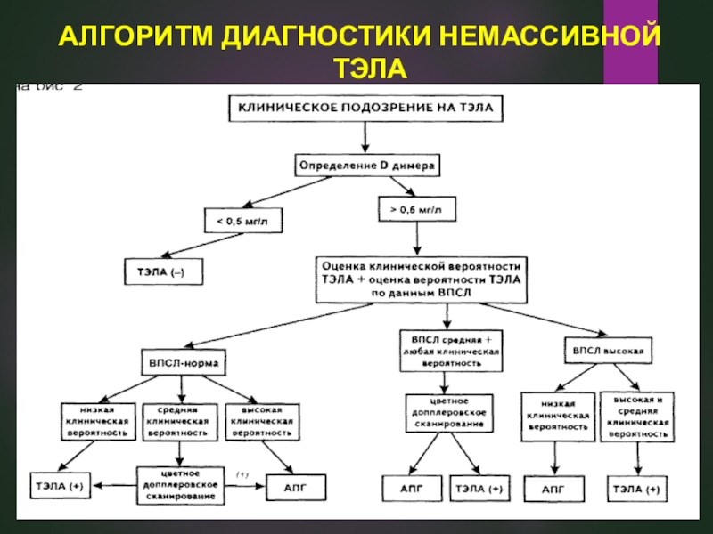 Алгоритм диагностики. Диагностический алгоритм Тэла. Алгоритм диагностики Тэла 2020. Алгоритм обследования при Тэла. Немассивная рецидивирующая Тэла.