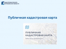 Публичная кадастровая карта