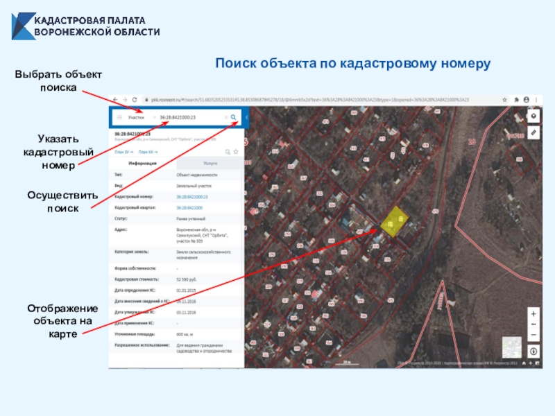 Поиск объекта по кадастровому номеру на карте. Публичная кадастровая карта Воронеж.