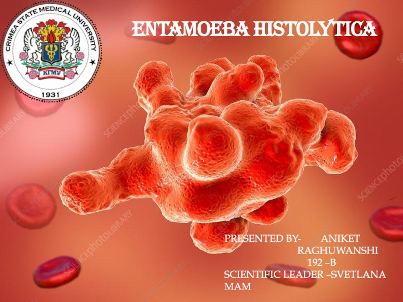 Презентация ENTAMOEBA HISTOLYTICA
PRESENTED BY- ANIKET
RAGHUWANSHI
192 –B
SCIENTIFIC LEADER