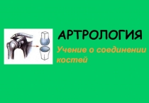 АРТРОЛОГИЯ
Учение о соединении костей