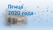 Птица
2020 года